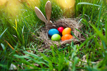 Easter eggs search in a spring meadow