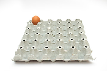 Eggs on white background