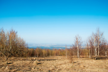 A beautiful spring day in the open-air valleys against the background of the forest and the blue sky