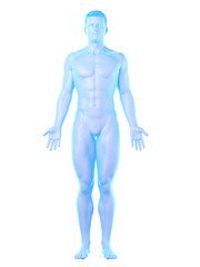 3d rendered medically accurate illustration of a mans body