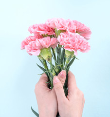 Woman giving bunch of elegance blooming baby pink color tender carnations isolated on pale blue background, mothers day decor design concept, top view, close up, copy space