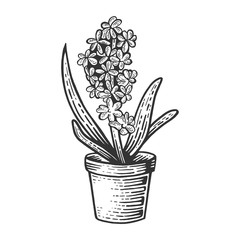 Hyacinth flower sketch engraving vector illustration. Scratch board style imitation. Black and white hand drawn image.