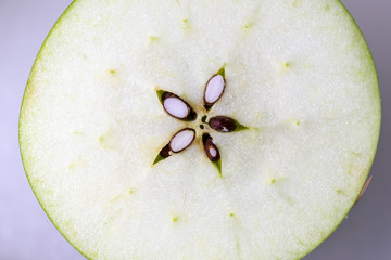 Study of flowering and fruit structures for education in laboratory.