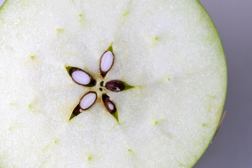 Study of flowering and fruit structures for education in laboratory.