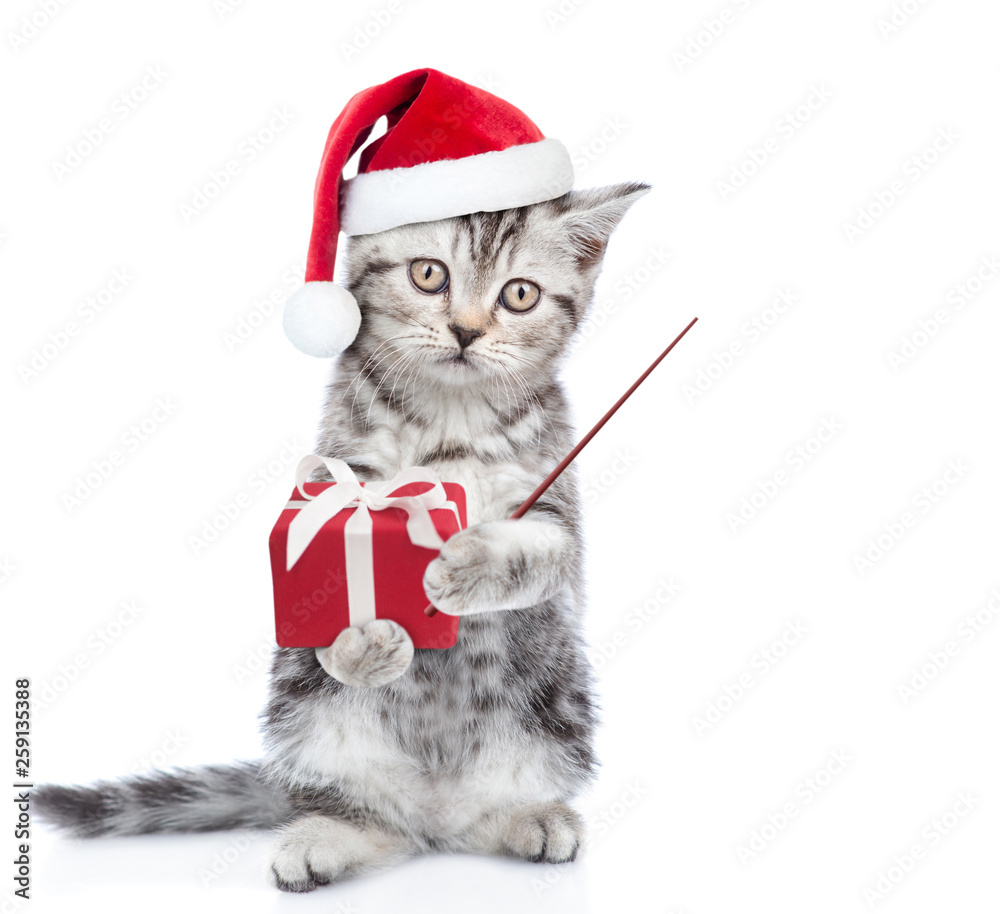 Aufkleber tabby kitten in red christmas hat with gift box pointing on empty space. isolated on white backgroun
