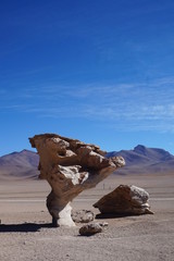 El Arbol de Piedras - Bolivia