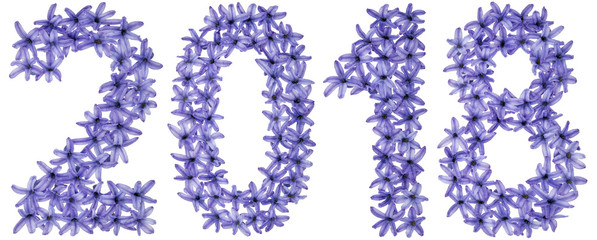 Inscription 2018, from natural flowers of hyacinth, isolated on white background