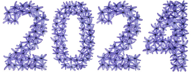 Inscription 2024, from natural flowers of hyacinth, isolated on white background