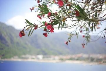  Beautiful beach and blue bay  in Icmeler Turkey