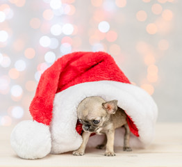 Fototapeta na wymiar Baby chihuahua puppy under big reg christmas hat on festive background