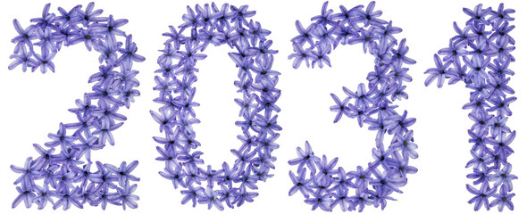 Inscription 2031, from natural flowers of hyacinth, isolated on white background