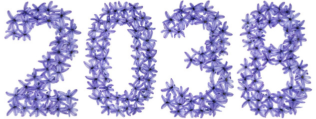 Inscription 2038, from natural flowers of hyacinth, isolated on white background