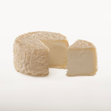 chevre cabri 02