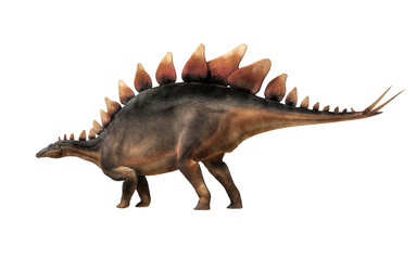 Stegosaurus, was a thyreophoran dinosaur.  An herbivore, it is one of the best known dinosaurs of the Jurassic period. Here, a grey and brown one is in profile on a white background. 3D Rendering. 