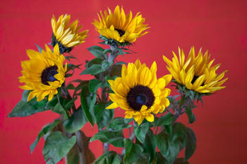 bouquet of sunflowers