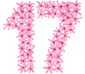 Numeral 17, seventeen,  from natural flowers of hyacinth, isolated on white background