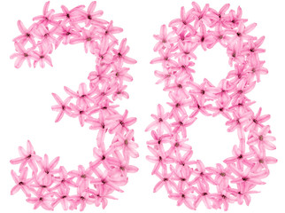 Numeral 38, thirty eight, from natural flowers of hyacinth, isolated on white background
