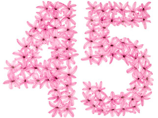 Fototapeta premium Numeral 45, forty five, from natural flowers of hyacinth, isolated on white background
