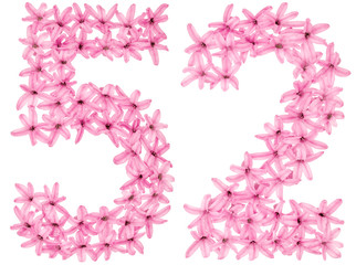 Numeral 52, fifty two, from natural flowers of hyacinth, isolated on white background