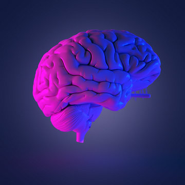 3d rendered abstract rendering of a brain