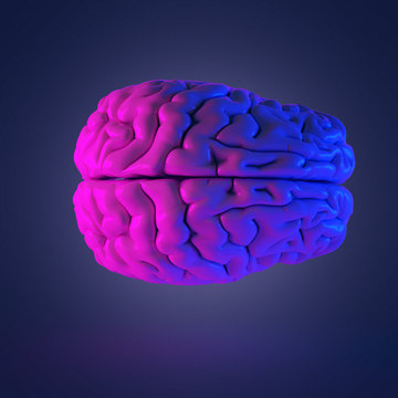 3d rendered abstract rendering of a brain
