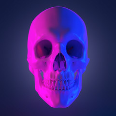 3d rendered abstract rendering of a skull