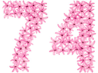 Fototapeta premium Numeral 74, seventy four, from natural flowers of hyacinth, isolated on white background