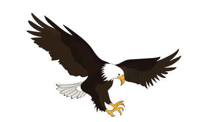 fish eagle flying