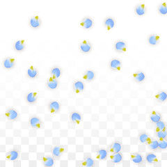 Vector Realistic Blue Petals Falling on Transparent Background.  Spring Romantic Flowers Illustration. Flying Petals. Sakura Spa Design. Blossom Confetti.