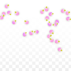 Vector Realistic Pink Petals Falling on Transparent Background.  Spring Romantic Flowers Illustration. Flying Petals. Sakura Spa Design. Blossom Confetti.