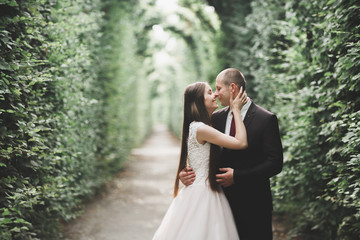 Stylish couple of happy newlyweds walking in the park on their wedding day with bouquet