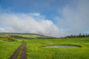  Early summer of Aomori Prefecture Hakkoda