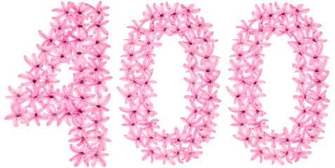 Numeral 400, four hundred, from natural flowers of hyacinth, isolated on white background