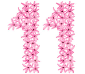 Numeral 11, eleven, from natural flowers of hyacinth, isolated on white background