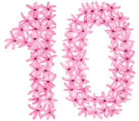 Numeral 10, ten, from natural flowers of hyacinth, isolated on white background