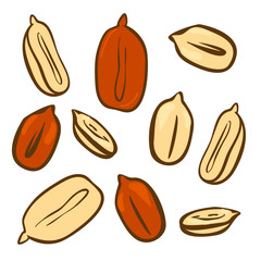 Peanut butter doodle vector icon. Cartoon illustration of peanut icon for web design. Nuts hand drawn emblems and labels isoleted on white backgraund