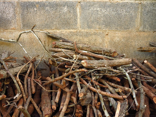 Pile of tree branches composition