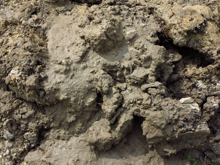 pile of dry soil