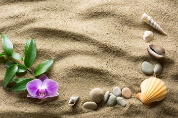 Fototapeta na wymiar Summer holidays concept - sandy beach with an orchid blossom, seashells and pebbles