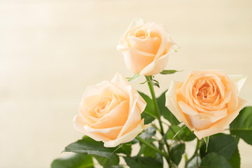 バラ　白いバラ