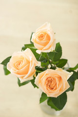 バラ　白いバラ