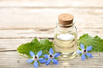 borage oil in the glass bottle, with fresh borage flowers