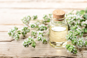 Marjoram essential oil in the glass bottle, with fresh marjoram flowers on the wooden board