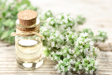 Marjoram essential oil in the glass bottle, with fresh marjoram flowers, on the wooden board