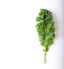 kale isolated on white background. top view