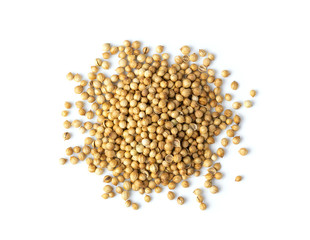 Coriander seeds isolated on white background. top view