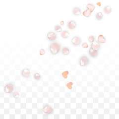 Vector Realistic Petals and Hearts Confetti. Flying Sakura and Hearts on Transparent Background. Wedding Invitation Background. Spring Romance Poster. Vector Illustration for Anniversary Design.