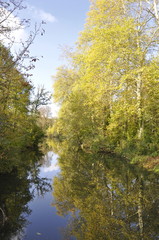 promenade dans le marais