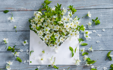 Abstract spring background of old painted blue board with frame of white apple flowers flowers on wooden background. envelope with a spring flower arrangement