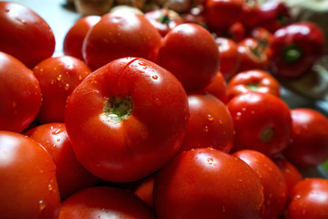 Ripe fresh harvested vegetables on table. Cutting tomatoes on wooden board. Making delicious vegetarian meal or canning veggies for winter in jars. Concept of healthy eating. Water or rain drops